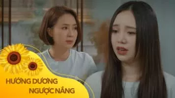 Sunflower Against the Sun (Hướng dương ngược nắng) - TV program