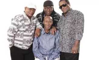 Them Mushrooms - Musical band