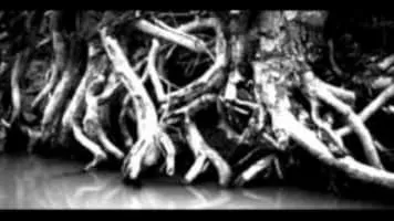 Tommy Almighty - Musical artist