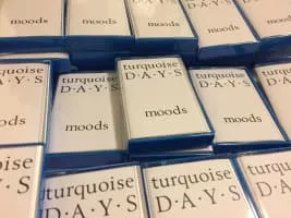 Turquoise Days - Musical group