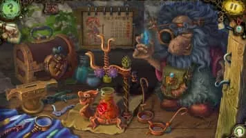 Witch's Pranks: Frog's Fortune Collector's Edition - Video game