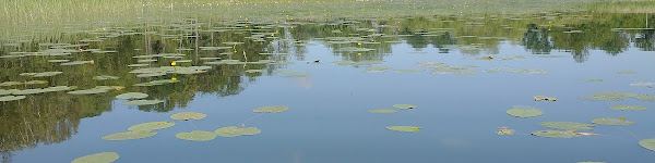 jezioro lichtajny - Lake in Poland