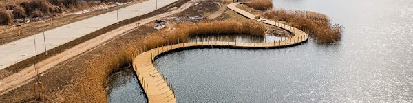 przylasek rusiecki kapielisko photograph