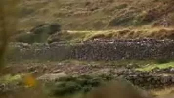 Bernadette Moley - Eric Stoltz's wife