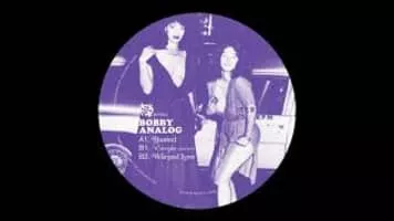 Bobby Analog - Musical artist