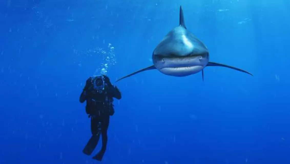 Brian Skerry - American photojournalist and film producer