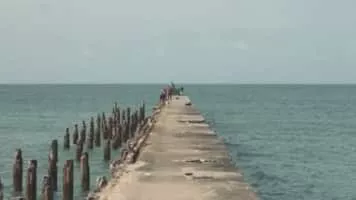 Capitão Eu e Os Piratas Vingativos - Musical artist