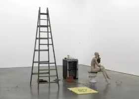 Cathy Wilkes - Artist