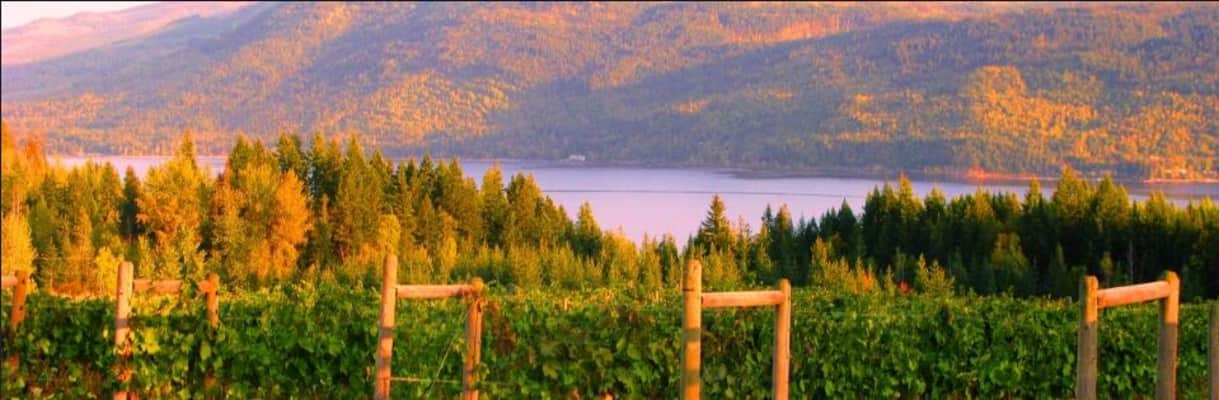 Celista Estate Winery - 