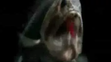 Drexciya - Electronic duo