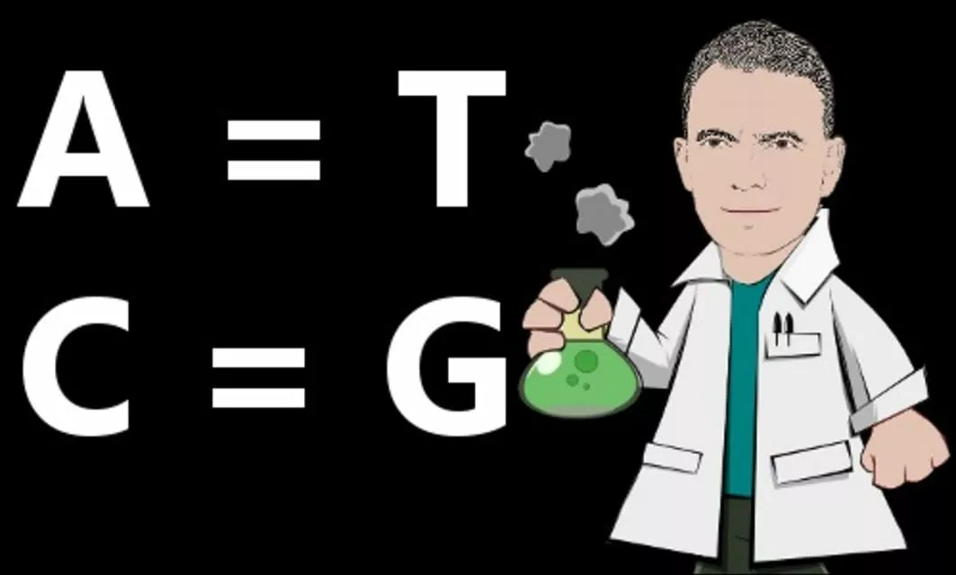 Erwin Chargaff - American biochemist