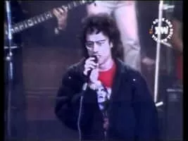 Fausto Fawcett - Brazilian singer-songwriter