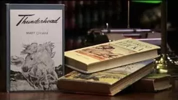 Flicka - 2006 ‧ Adaptation/Drama ‧ 1h 50m