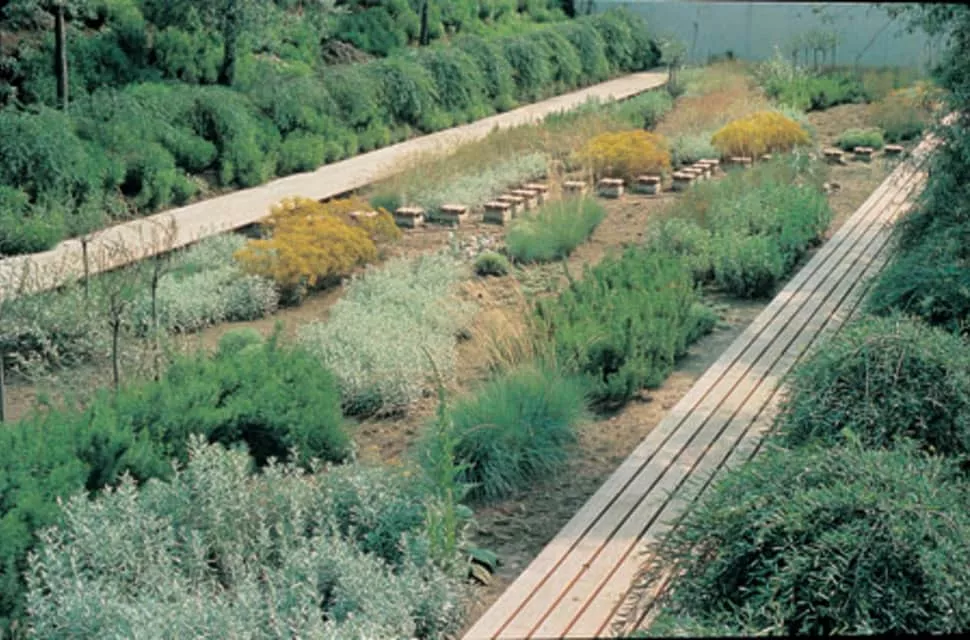 Gilles Clément - French gardener