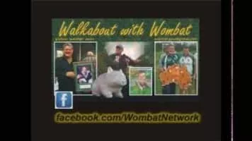 Graham Eadie - Australian footballer