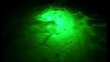 Günter Kochan - German composer