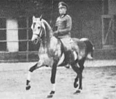 Gustav Steinbrecht - German biographer