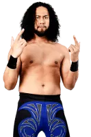 Hikuleo - American professional wrestler