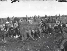 Holodomor - Famine