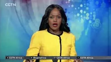 Iraqi Air Force - Armed forces