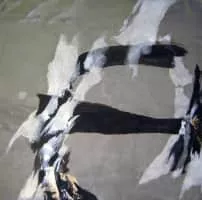 John Franklin Koenig - American artist