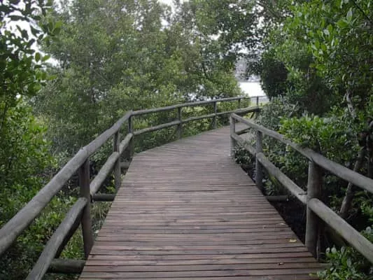 light park parque do manguezal do itacorubi - 