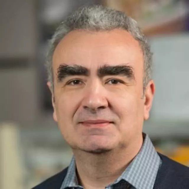 Marius Stan - Scientist