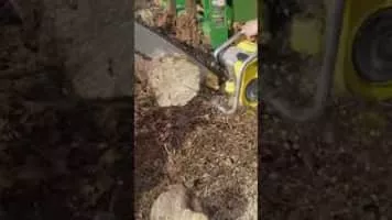 McCulloch Motors Corporation - Company