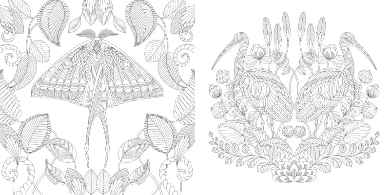 Millie Marotta's Tropical Wonderland: A Colouring Book Adventure - Book by Millie Marotta