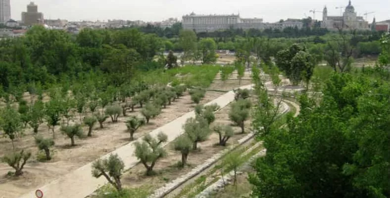 Mirador de la Huerta de la Partida Madrid - 