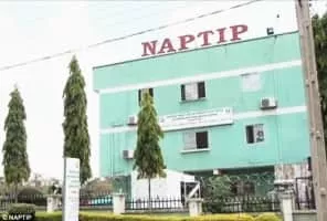 National Agency for the Prohibition of Trafficking in Persons - Federal agency