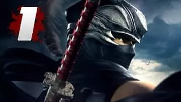 Ninja Gaiden - Video game series