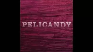 Pelicandy - Musical artist