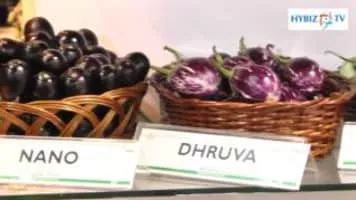 RASI SEEDS (P) Ltd - Corporate Office - 