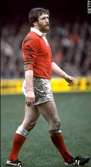 Ray Gravell - British broadcaster