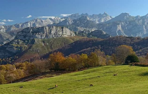 reserva natural parcial de peloño parque natural de ponga - 