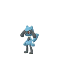 Riolu - Fighting Pokemon species