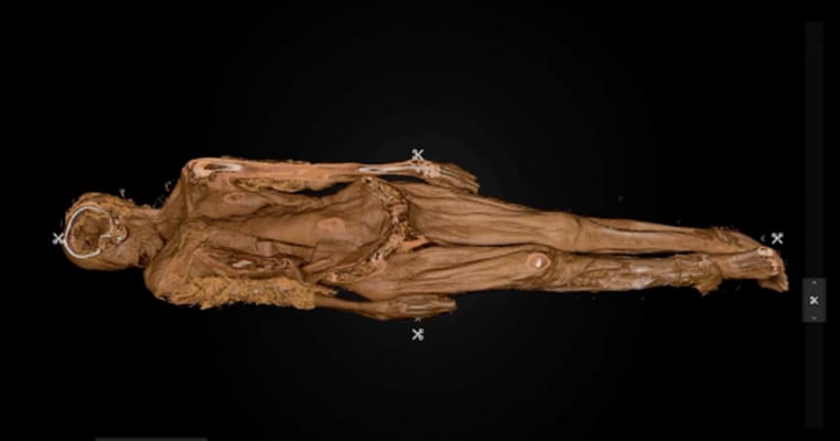 Secrets of the Dead The Woman in the Iron Coffin - Secrets of the Dead: Season 17, Episode 3