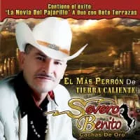 Severo Benito y Su Banda Cachas de Oro - Musical artist