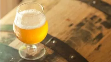 Sour beer - Beer style category