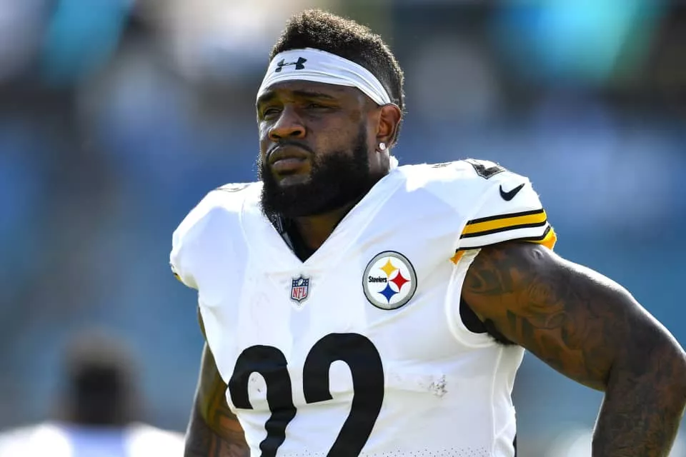 Stevan Ridley - American football running back