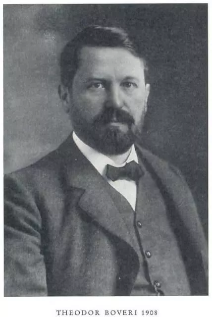 Theodor Boveri - German biologist