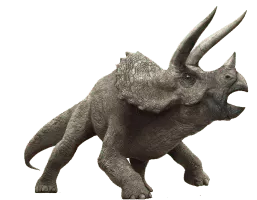 Triceratops - 