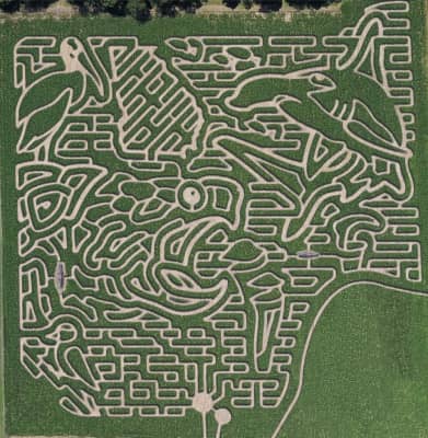Uncle Shucks Corn Maze and Pumpkin Patch - 