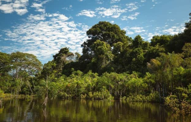 zona reservada yaguas área de conservación regional alto nanay-pintuyacu-chambira - 