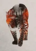 Andreas Lie - Norwegian footballer