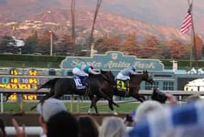 Arrogate - Horse