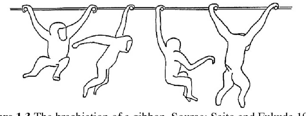 Being There: Putting Brain, Body, and World Together Again - Book by Andy Clark