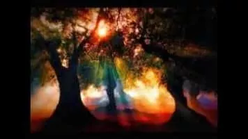 Ben Leinbach - Instrumentalist