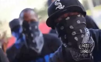 Black Disciples - Gang